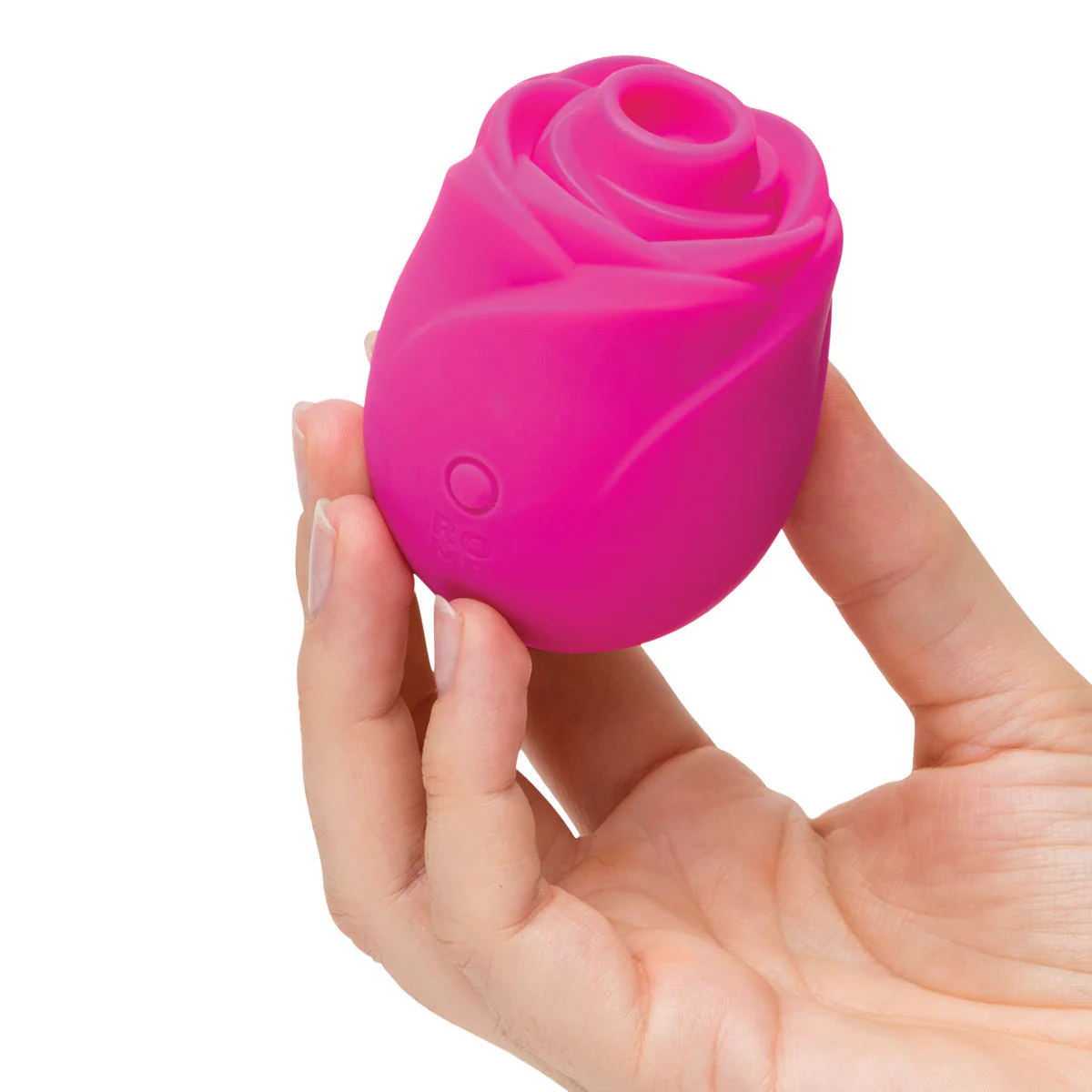 Image de ROMP® Rose 2.0