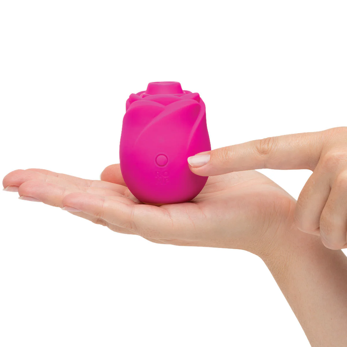 Image de ROMP® Rose 2.0