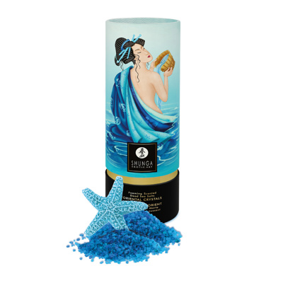 Image de Shunga – Cristaux de mer – Océan de tentations (500g)