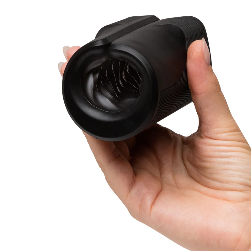 Image de Arcwave - Zing