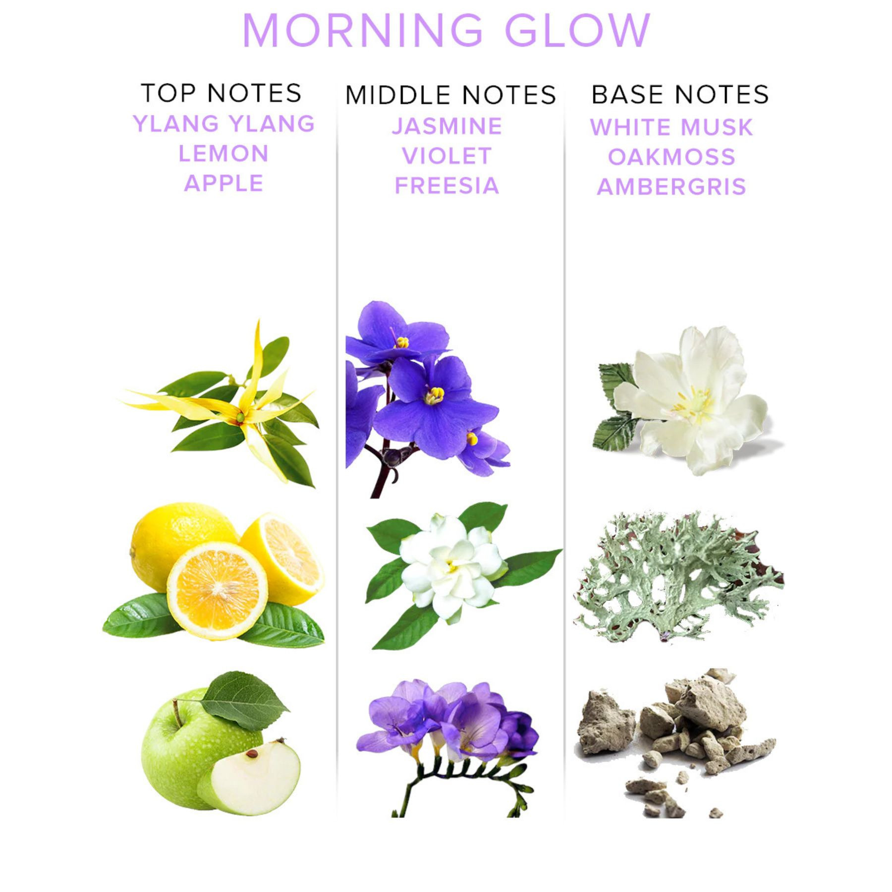 Image de EOL - Parfum Phéromone Attract Him - Morning Glow 10ml/0.34oz