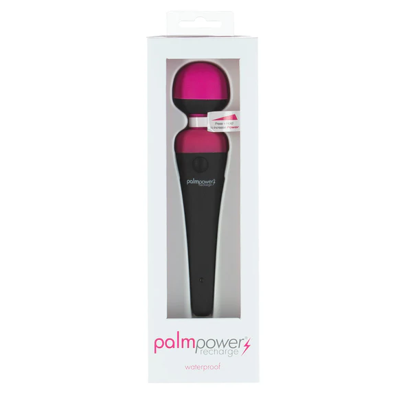 Image de PalmPower Recharge, masseur personnel étanche