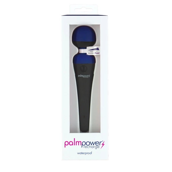 Image de PalmPower Recharge, masseur personnel étanche