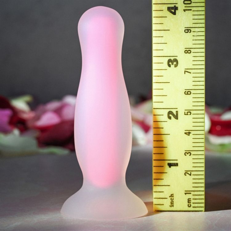 Image de LUMINOUS PLUG SMALL