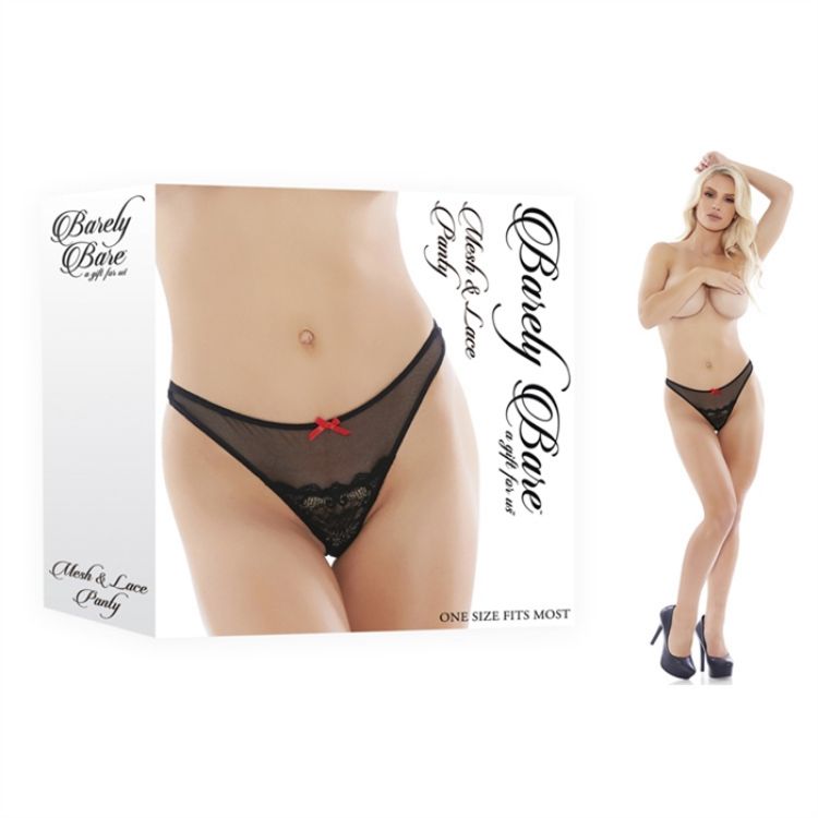 Image de MESH & LACE PANTY