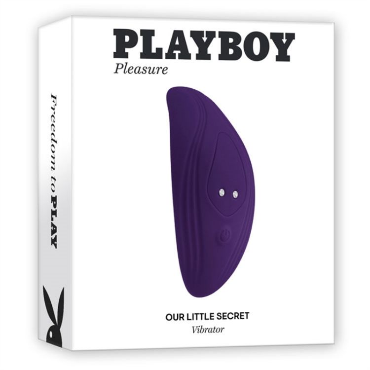 Image de Playboy - Our Little Secret