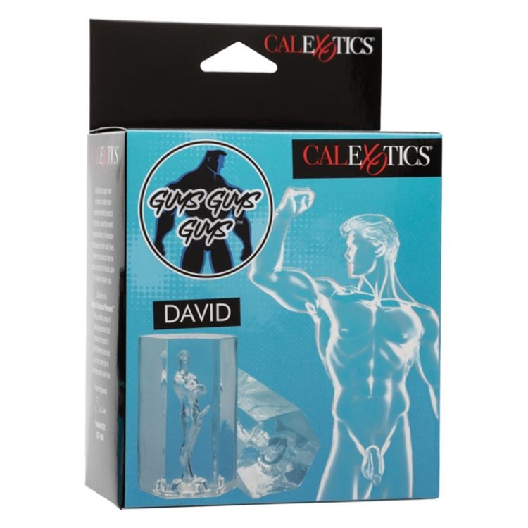 Image de Guys Guys Guys™ David