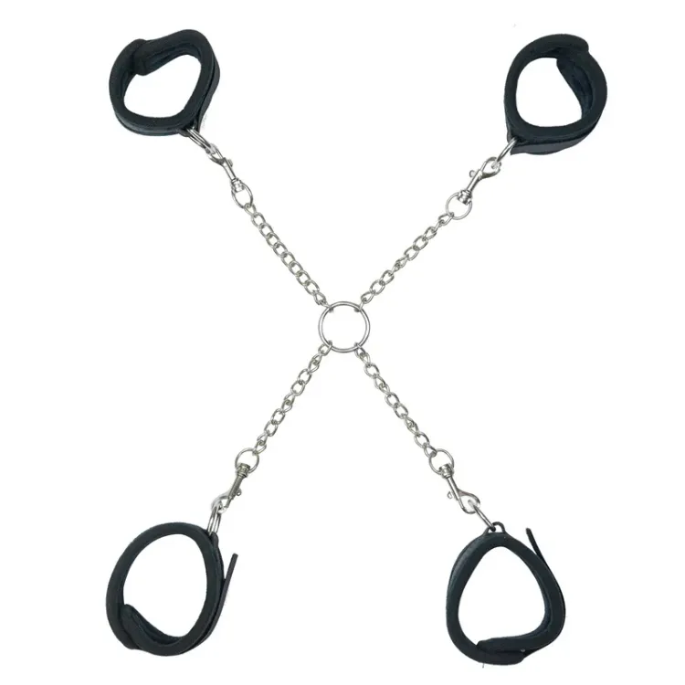 Image de Punishment - Hog Tie