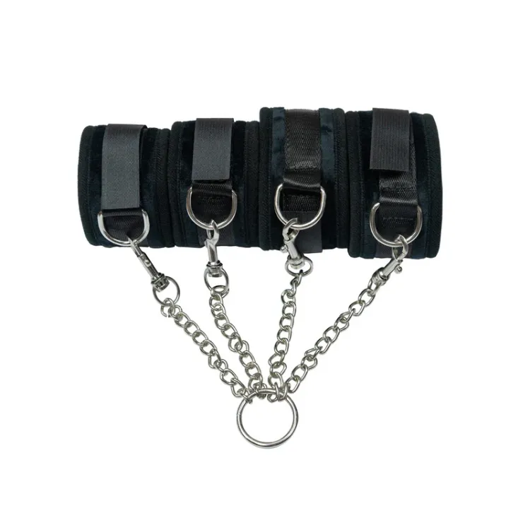 Image de Punishment - Hog Tie